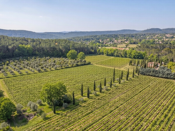 5 Bedroom Vineyard in Villecroze 24