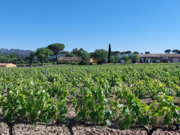 6 Bedroom Villa/House in La Motte 4